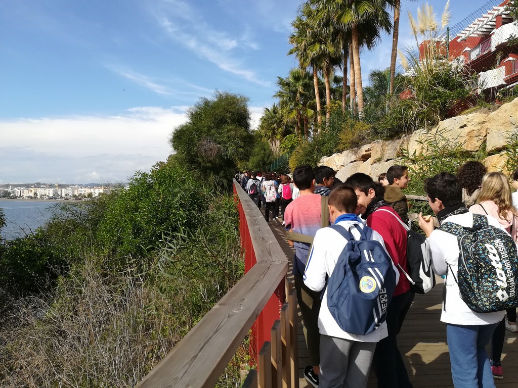 IMG 20181112 114656 (Copy)